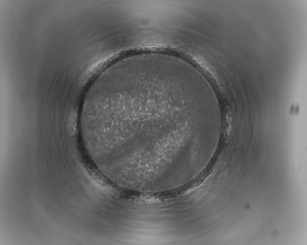 X0000090870640200708101335