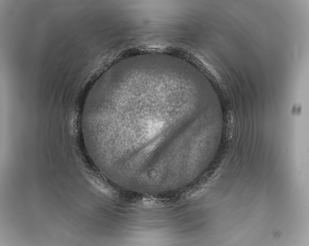 X0000090870641200708101335