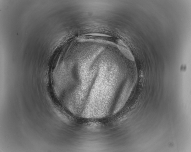 X0000090870642200708101335