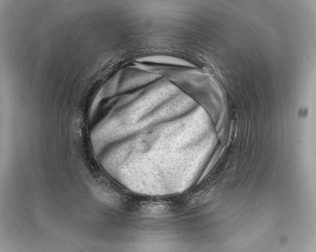 X0000090870643200708101335