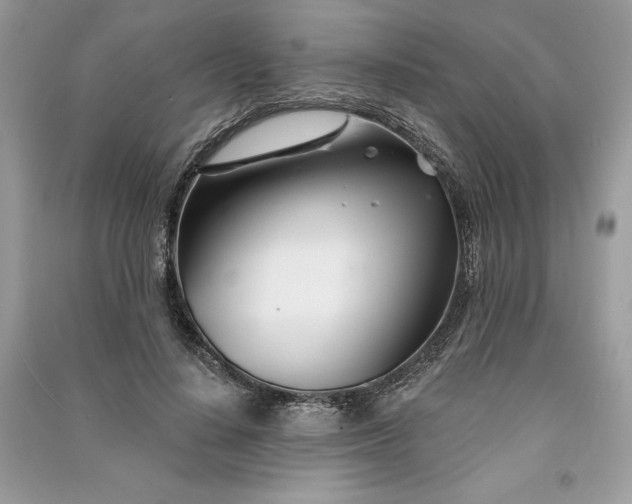 X0000090870644200708101335