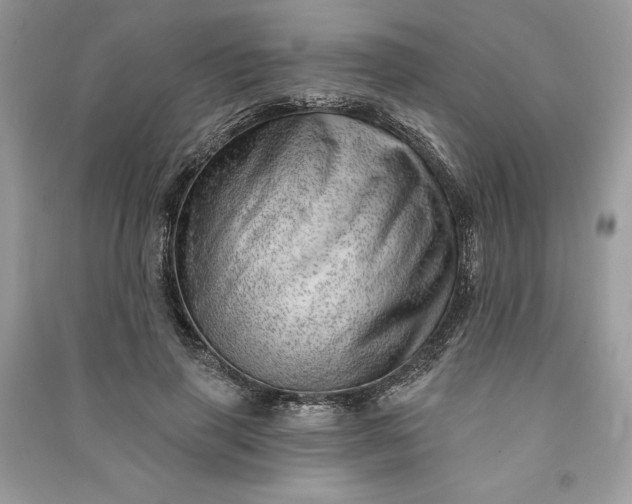 X0000090870645200708101335