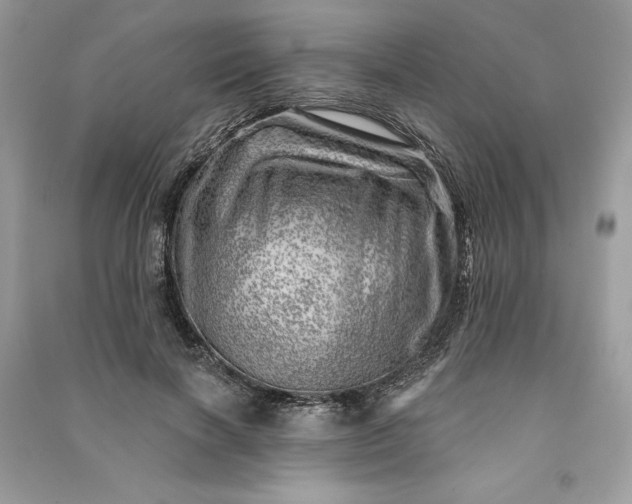 X0000090870646200708101335