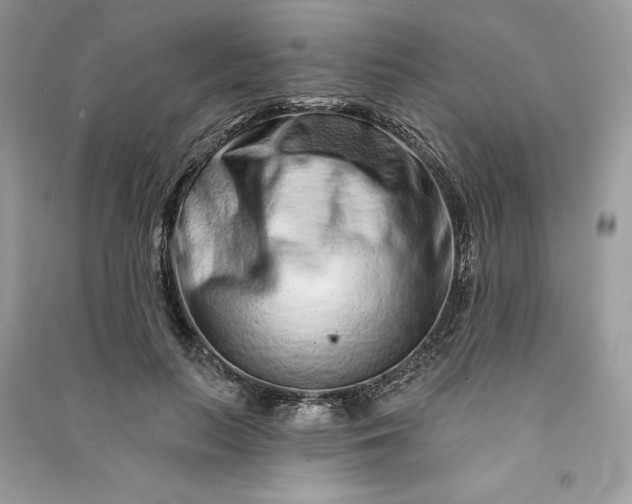 X0000090870647200708101335