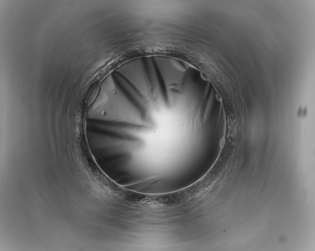 X0000090870648200708101335