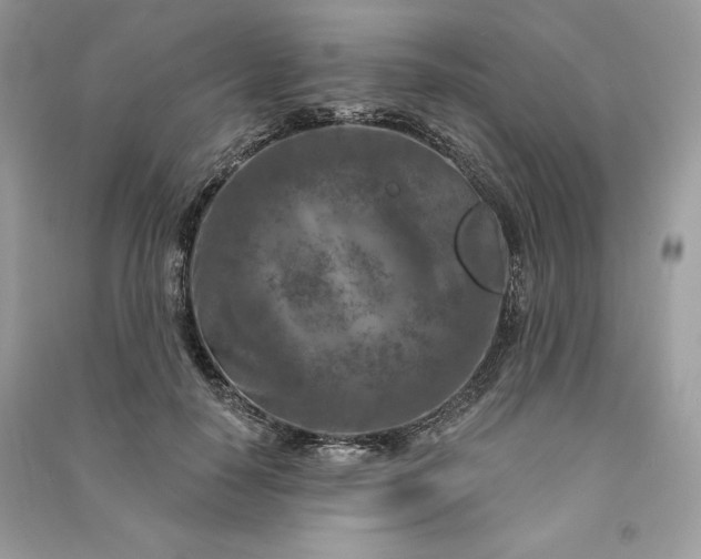 X0000090870650200708101335