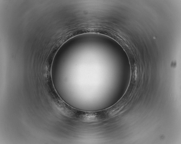 X0000090870651200708101335