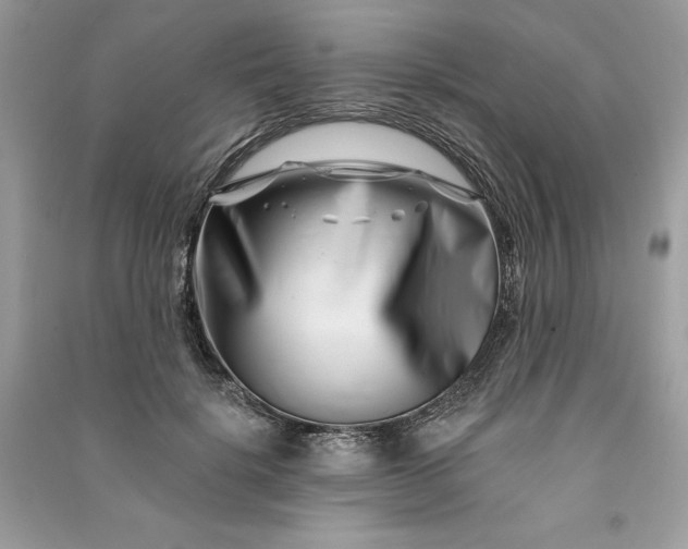 X0000090870652200708101335