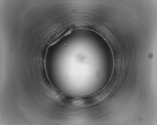 X0000090870653200708101335