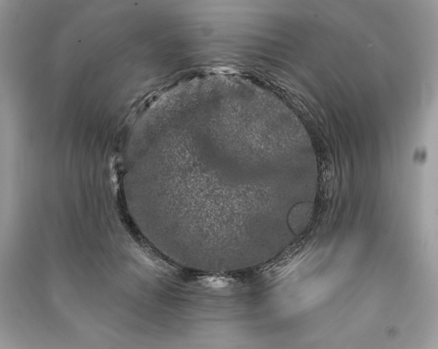 X0000090870654200708101335