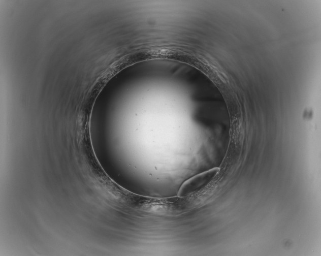 X0000090870655200708101335