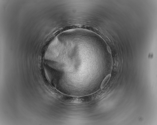 X0000090870656200708101335