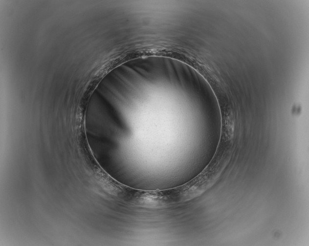 X0000090870657200708101335