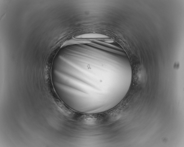 X0000090870658200708101335