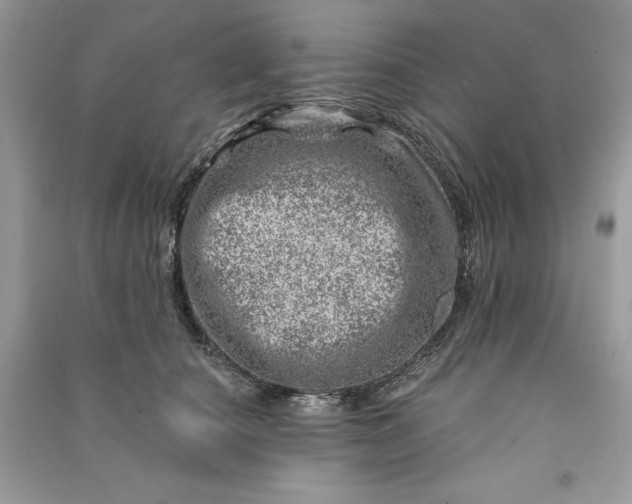 X0000090870660200708101335