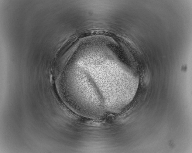 X0000090870661200708101335