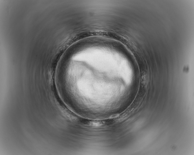 X0000090870662200708101335