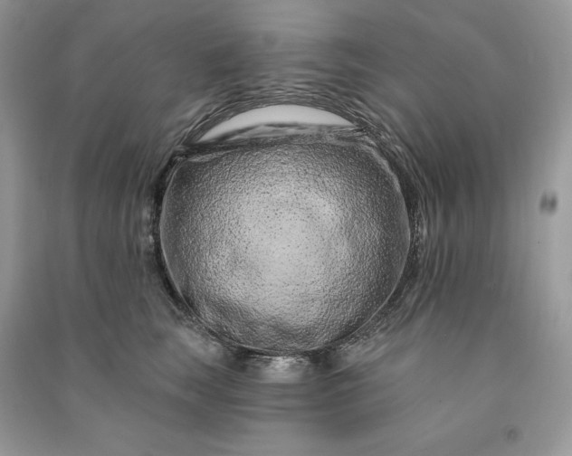 X0000090870663200708101335