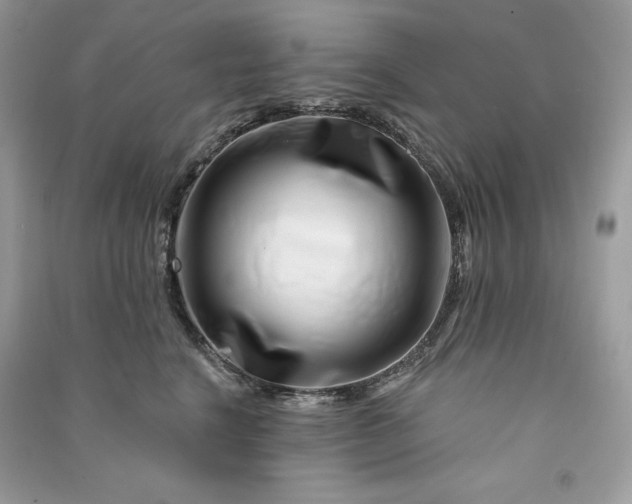 X0000090870664200708101335