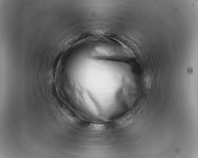 X0000090870665200708101335