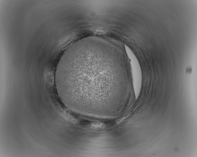 X0000090870666200708101335