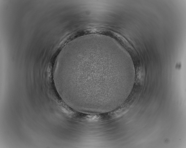 X0000090870667200708101335