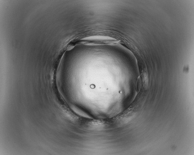 X0000090870668200708101335