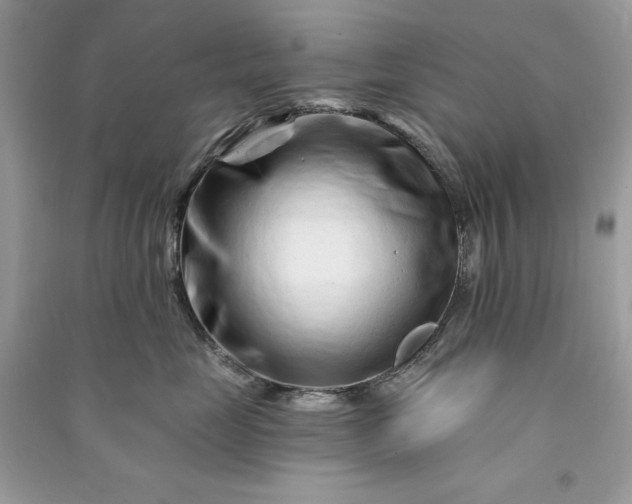 X0000090870669200708101335