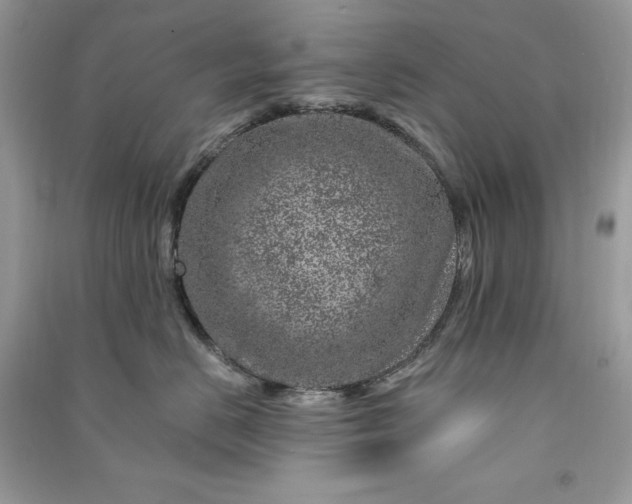 X0000090870670200708101335