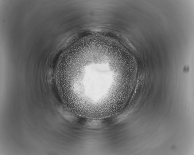 X0000090870671200708101335