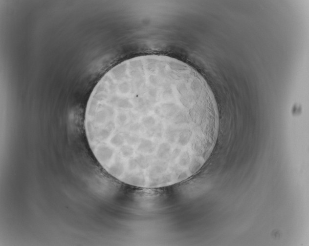 X0000090870672200708101335