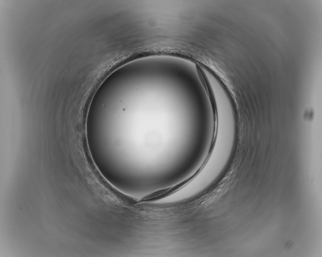 X0000090870673200708101334