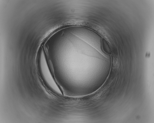 X0000090870674200708101334