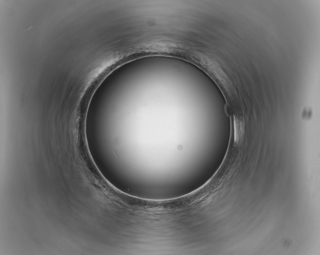 X0000090870675200708101334