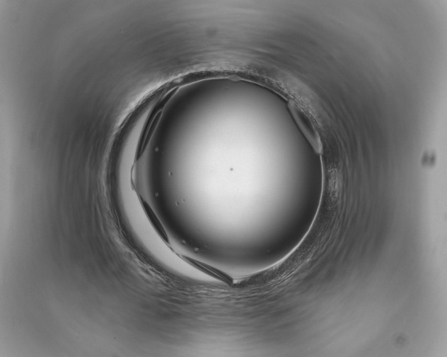 X0000090870676200708101334