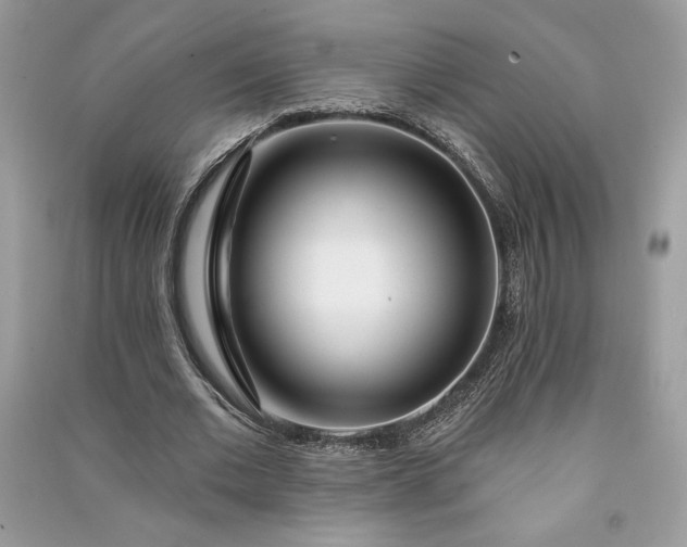 X0000090870677200708101334