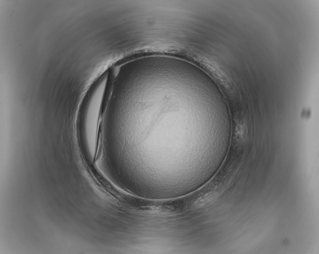 X0000090870678200708101334