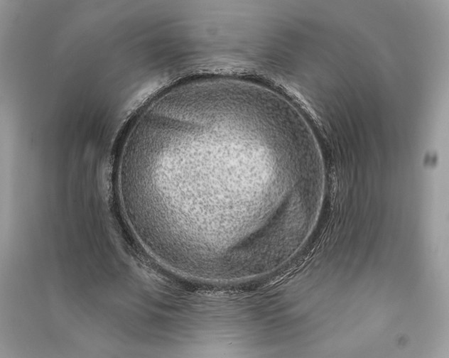 X0000090870679200708101334