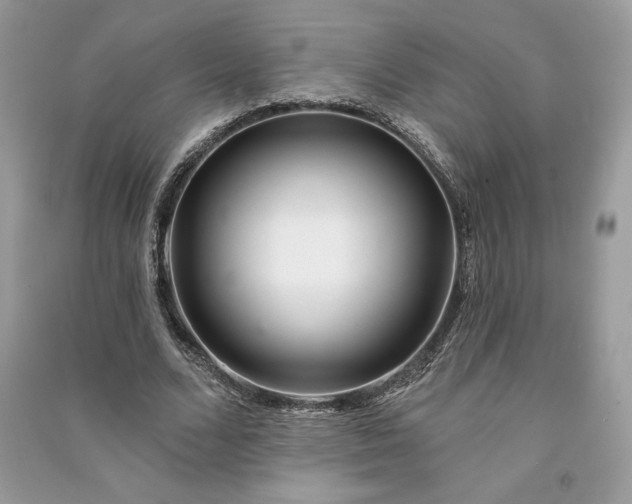 X0000090870680200708101334