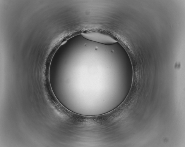 X0000090870682200708101334