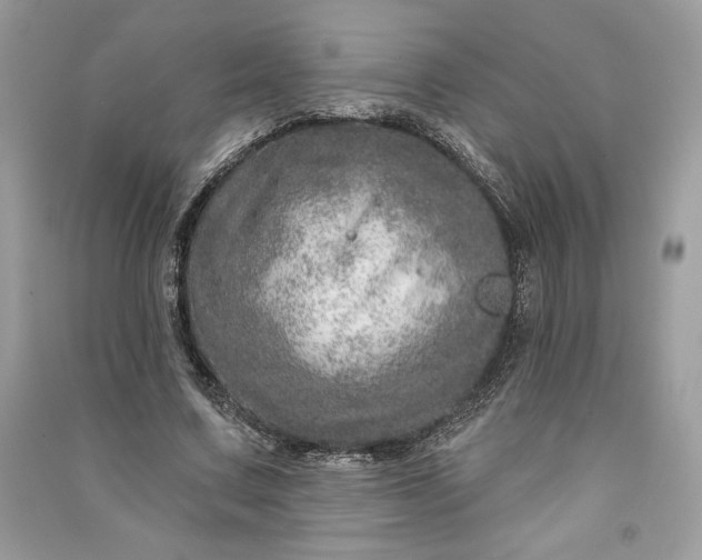 X0000090870683200708101334