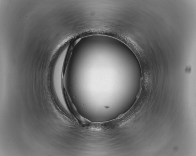 X0000090870684200708101334