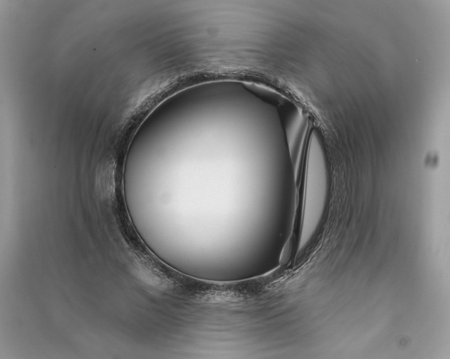 X0000090870685200708101334