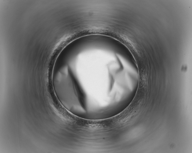 X0000090870686200708101334