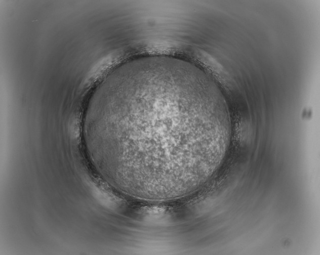 X0000090870687200708101334