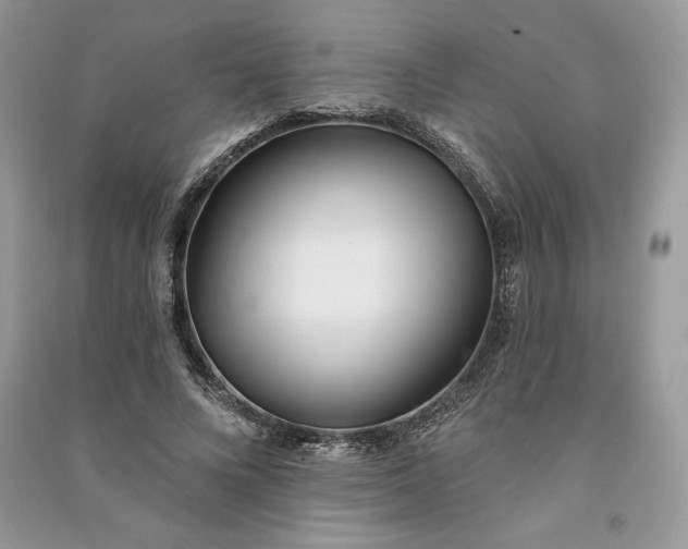 X0000090870688200708101334