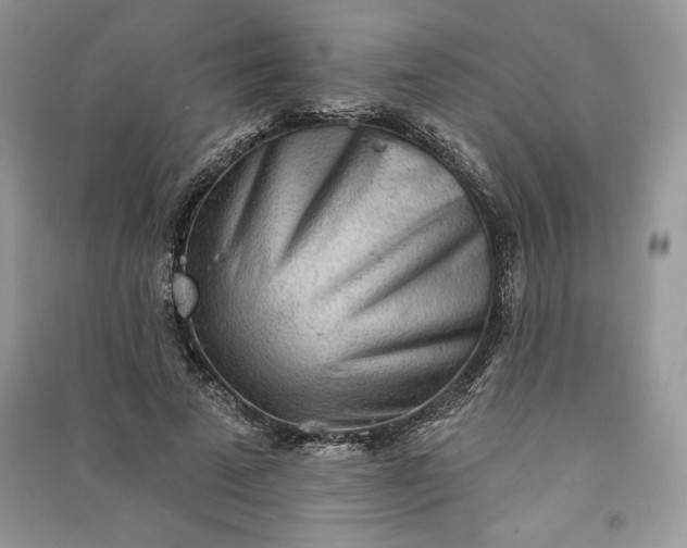 X0000090870689200708101334