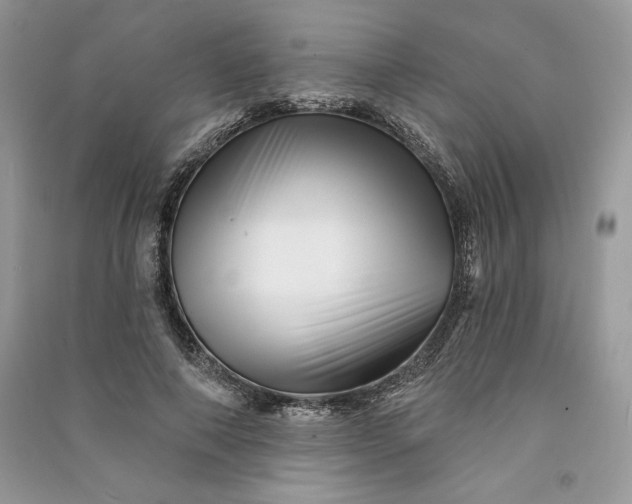 X0000090870690200708101334