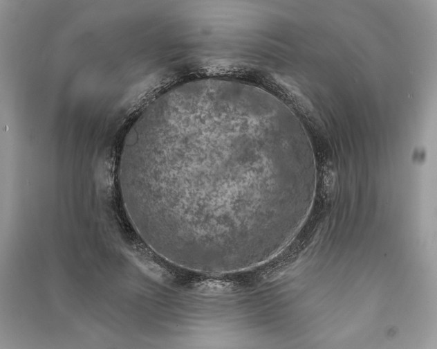 X0000090870691200708101334