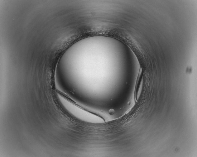 X0000090870693200708101334